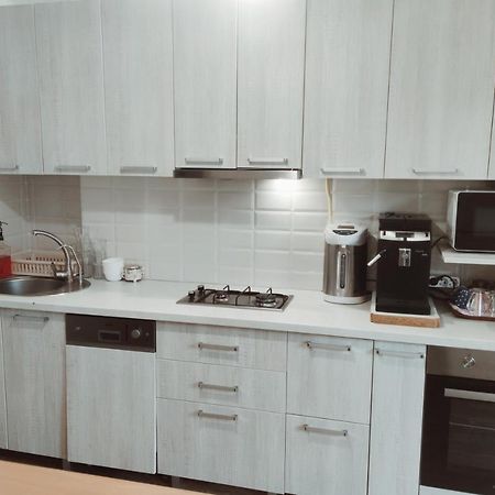 شقة Inessa Center Guest Penthhouse تشيسيناو المظهر الخارجي الصورة